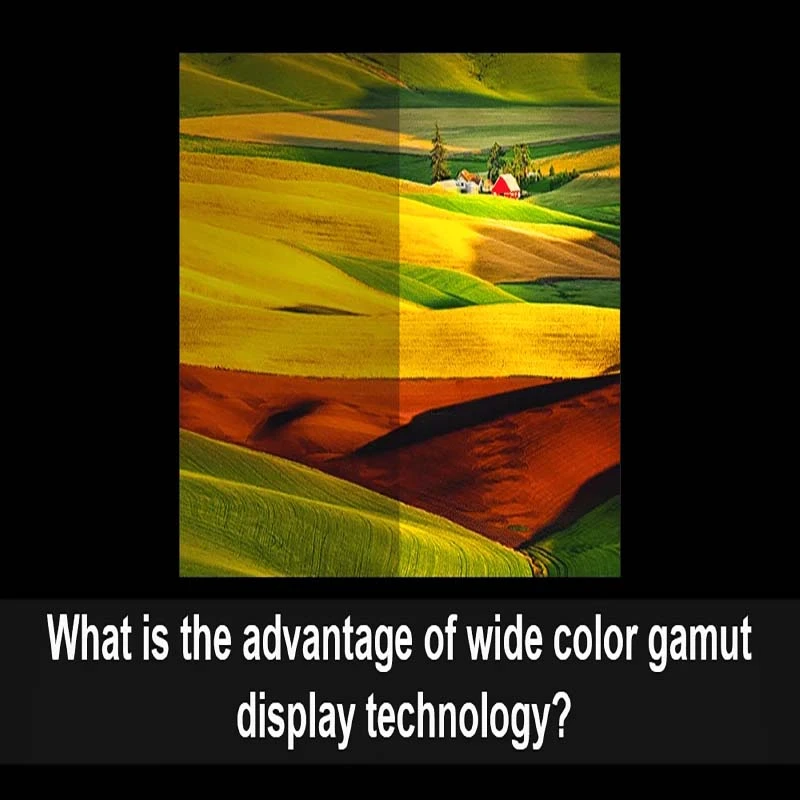 How Wide Color Gamut Display Technology Creates Colorful Images on LCD Video Walls