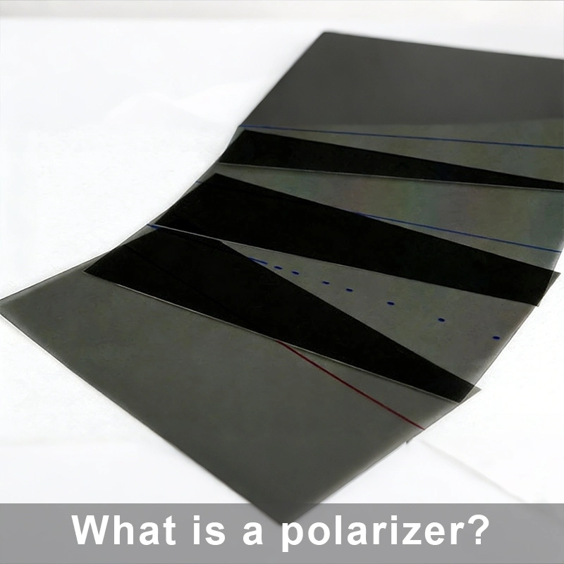 What is the role of polarizer