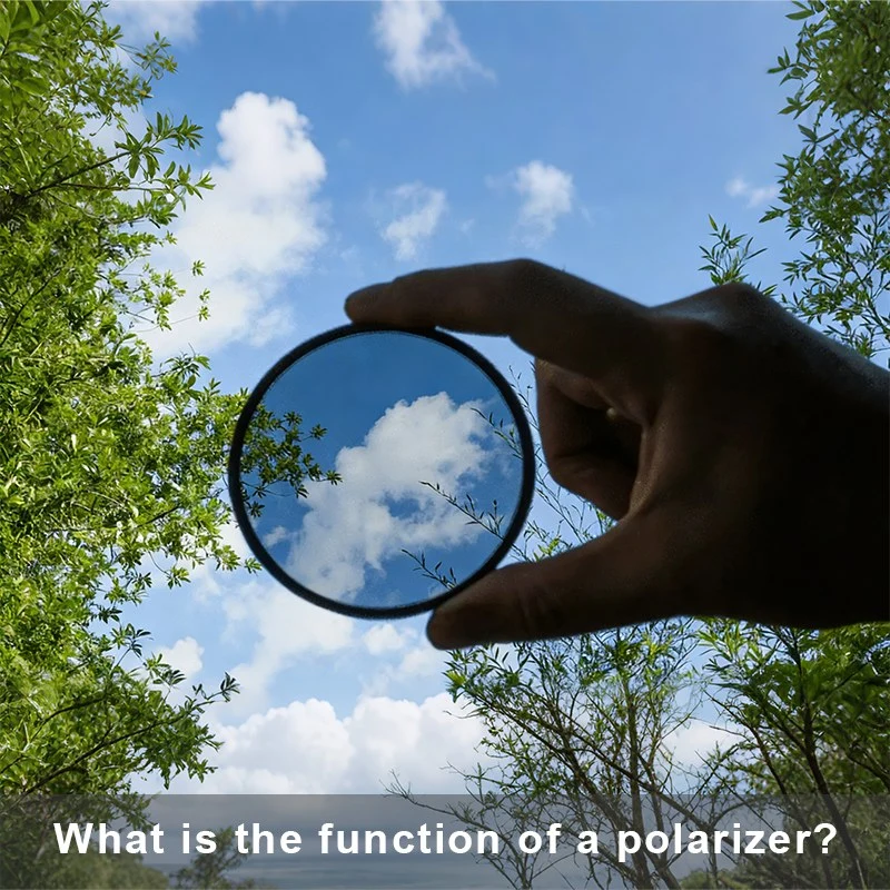 What is the role of polarizer