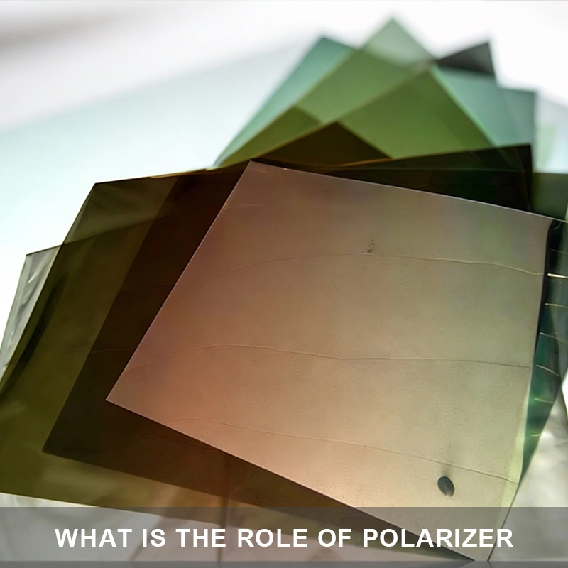 What is the role of polarizer